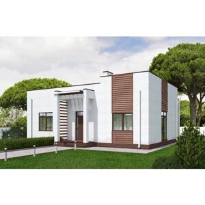 Проект - Одноэтажный дом с террасой и плоской крышей Rg5855