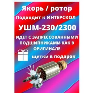 Ротор Интерскол УШМ-230/2300