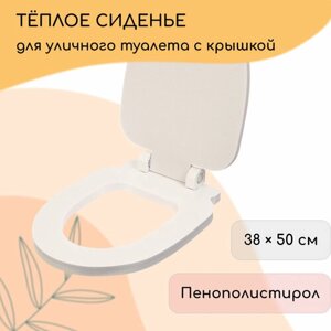 Сиденье для уличного туалета, с крышкой, 38 50 см, Стандарт, пенополистирол