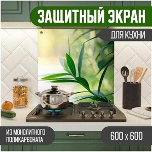 Защитный экран для кухни 600 х 600 х 3 мм "Оливки", акриловое стекло на кухню для защиты фартука, прозрачный монолитный поликарбонат, 600-006