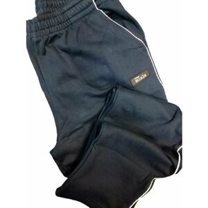 Беговые брюки Ramon Miele, размер 4XL, синий