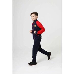 Костюм WILDWINS для мальчиков, куртка и брюки, размер 122, красный, синий