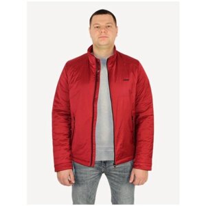 Куртка мужская демисезонная осень/весна, на молнии, бордо, размер 48, на обхват груди 94-98 см
