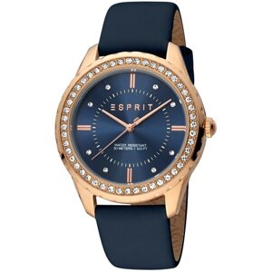 Наручные часы ESPRIT Часы наручные ESPRIT ES1L353L0035, розовый, синий