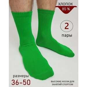 Носки унисекс BIZ-ONE, 2 пары, размер 46-47, зеленый