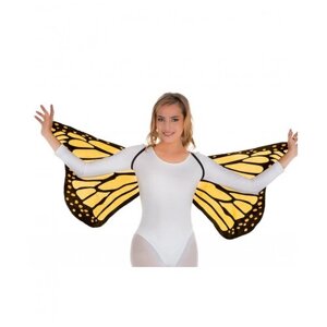 Оранжевые крылья бабочки (14095)