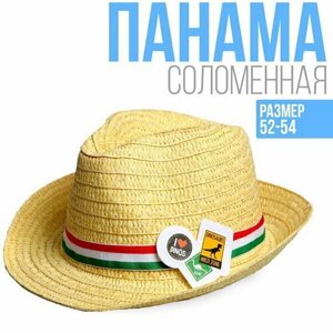 Панамка соломенная детская "Динозавры", р-р. 52-54 см