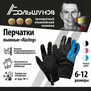 Перчатки Александр Большунов, размер 7, черный, синий