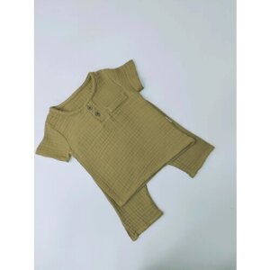 Комплект одежды для мальчиков, шорты и рубашка, размер 68, коричневый