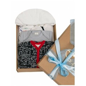 Комплект одежды lucky child для мальчиков, комбинезон и боди, повседневный стиль, подарочная упаковка, размер 20 (62-68), мультиколор
