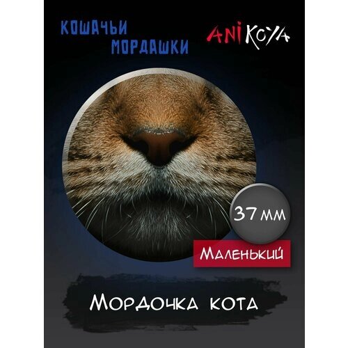 Значок AniKoya