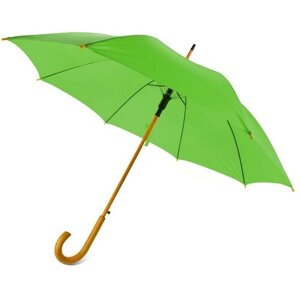 Зонт-трость полуавтомат, для мужчин, зеленый