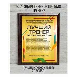 Благодарственное письмо "Лучший тренер по стрельбе из лука"