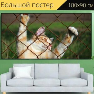 Большой постер "Кот, котенок, сетка" 180 x 90 см. для интерьера