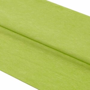 Бумага креповая 50*200 см, 35 г/м2, 2 шт, цвет 80-34 светло-зеленый, Astra&Craft