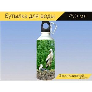 Бутылка фляга для воды "Аисты, гнездо, гнездо аиста" 750 мл. с карабином и принтом