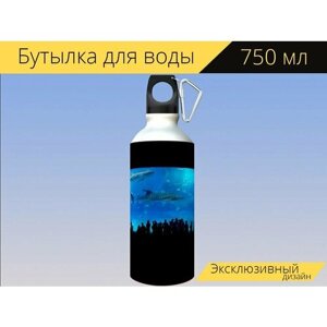 Бутылка фляга для воды "Аквариум, акула, окинава" 750 мл. с карабином и принтом