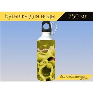 Бутылка фляга для воды "Бактерии, сальмонелла, патогены" 750 мл. с карабином и принтом