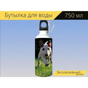 Бутылка фляга для воды "Бультерьер, щенок, собака" 750 мл. с карабином и принтом