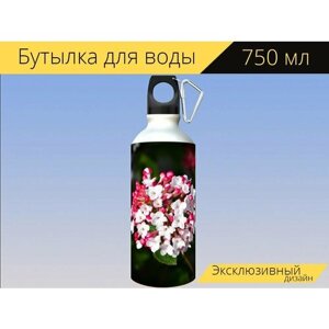 Бутылка фляга для воды "Цветок, калина тинус, кустарник" 750 мл. с карабином и принтом