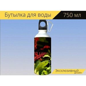 Бутылка фляга для воды "Цветок, красные цветы, солнечный" 750 мл. с карабином и принтом