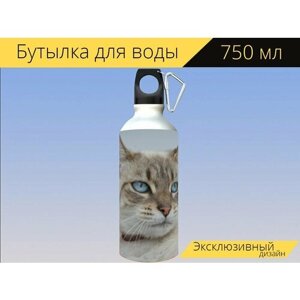 Бутылка фляга для воды "Кошка, портрет, голубые глаза" 750 мл. с карабином и принтом