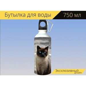 Бутылка фляга для воды "Кошка, сиамская кошка, домашнее животное" 750 мл. с карабином и принтом