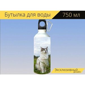 Бутылка фляга для воды "Кот, животное, талисман" 750 мл. с карабином и принтом