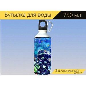 Бутылка фляга для воды "Красочный аквариум, рыбы, маленькие рыбы" 750 мл. с карабином и принтом
