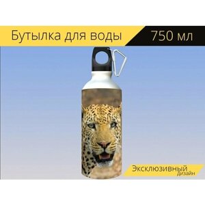 Бутылка фляга для воды "Леопард, животные, гепард" 750 мл. с карабином и принтом