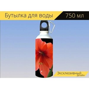 Бутылка фляга для воды "Лили, цветок, расцвел" 750 мл. с карабином и принтом