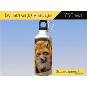 Бутылка фляга для воды "Лиса, wildpark poing, животное" 750 мл. с карабином и принтом