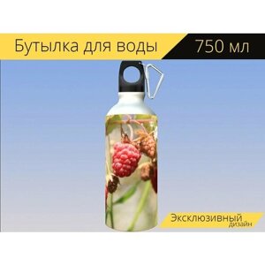 Бутылка фляга для воды "Малина, фрукты, спелый" 750 мл. с карабином и принтом