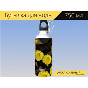 Бутылка фляга для воды "Матьимачеха, цветок, цвести" 750 мл. с карабином и принтом