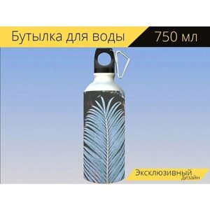 Бутылка фляга для воды "Папоротник папоротник лист, вайя, растение папоротник" 750 мл. с карабином и принтом