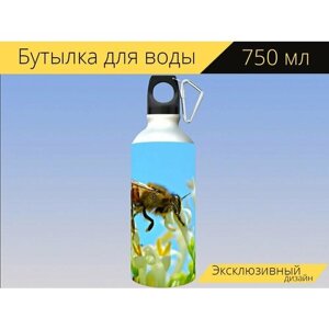 Бутылка фляга для воды "Пчела, насекомое, животное" 750 мл. с карабином и принтом