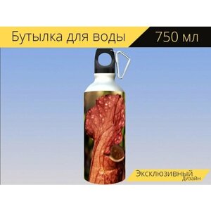 Бутылка фляга для воды "Плотоядное растение, природа, хищники" 750 мл. с карабином и принтом