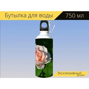 Бутылка фляга для воды "Розовый, цветок, цветы" 750 мл. с карабином и принтом