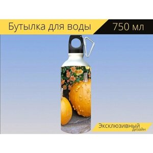 Бутылка фляга для воды "Тыквы, благодарение, уборка урожая" 750 мл. с карабином и принтом