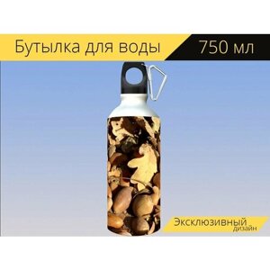 Бутылка фляга для воды "Желуди, плоды дуба, осень" 750 мл. с карабином и принтом