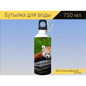 Бутылка фляга для воды "Животное, крупный план, милый" 750 мл. с карабином и принтом