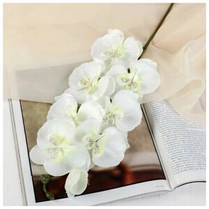 Цветы искусственные "Орхидея молди" 9*66 см, белая