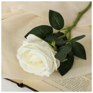 Цветы искусственные "Роза венесуэльская" 8х23 см, белый / Декор для дома