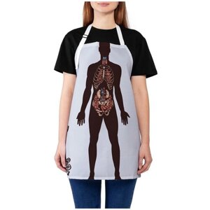Фартук женский JoyArty для готовки "Анатомия человека", универсальный размер
