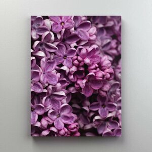 Интерьерная картина на холсте "Цветы сирени" растения, размер 30x40 см