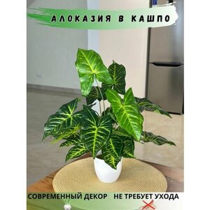 Искусственное растение Алоказия в кашпо / Искусственные цветы для декора / искусственные цветы