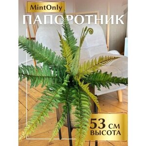 Искусственное растение "Папоротник" от MintOnly