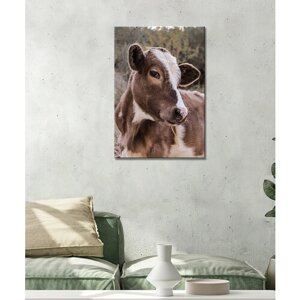 Картина -Корова, коричневая корова, корова на пастбище, бык (14) 40х60