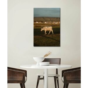 Картина -Корова, пастбище, корова пасется, корова на пастбище, бык (4) 60х80