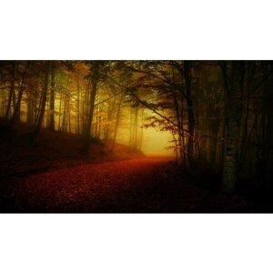 Картина на холсте 110x60 LinxOne "Дорога лес полумрак осень" интерьерная для дома / на стену / на кухню / с подрамником
